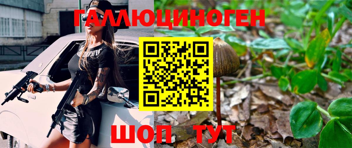 Галлюциногенные грибы GOLDEN TEACHER  Вход с VPN  Чита 