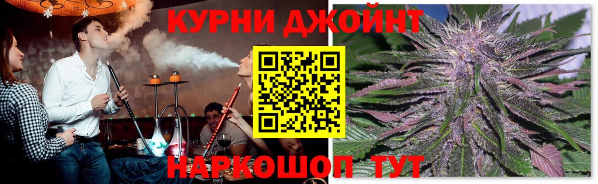 Конопля планчик Чита